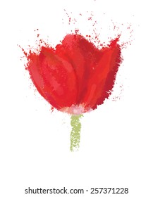 Vector red  tulip isolated.