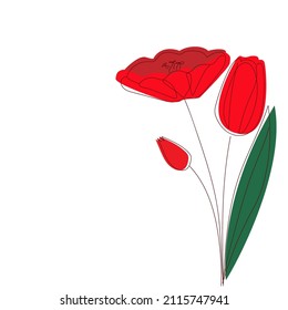 Vector red tulips flowers with outlined silhouette isolated on white background. Design for Logo, business card, flyer.