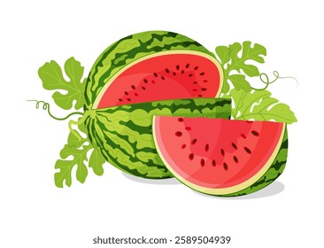 Vector Red watermelon slices and green leaves. Botanical fruit berry composition. Hand drawn trendy flat style isolated icon on a transparent background for card design, print, banner, packaging