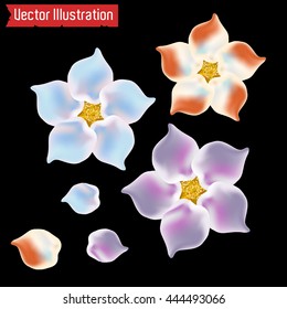 Vector red and white exotic flowers isolated on black background. Flowers on the water surface. 