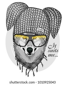 Vector red wolf with glasses and knitted hat of rabbit. Hand drawn illustration of dressed wolf.