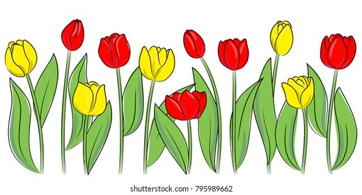 vector red yellow tulip flowers horizontal border
