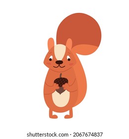 Vector redhead flat squirrel with a nut in its paws.