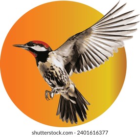 Vector of a red-headed woodpecker with an orange gradient circle background