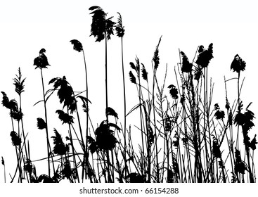 26,753 Reed silhouette Images, Stock Photos & Vectors | Shutterstock