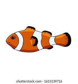 Vector reef fish, clownfish. Cute orange fish in cartoon flat style with black outline