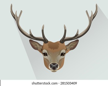 Vector reindeer portrait