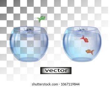 Vector. Relocation, move into new housing, aquarium swap, fish jump into new house, isolated on transparent white background realistic illustration, cartoon 3D effect.