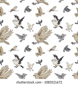 Vector repeatable seamless pattern with the different kinds of birds.