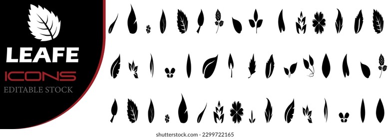Vector representation of a leafe. Knife silhouettes are established. Leafe Vector illustration, isolated on a white background. drawing of a Leafe in vector form.