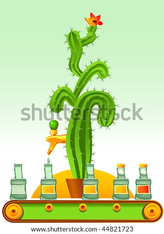 Vector representation of the mistaken opinion that tequila is produced from cactus juice