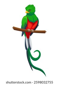 Vector resplendent quetzal bird perched on a branch isolated on white background