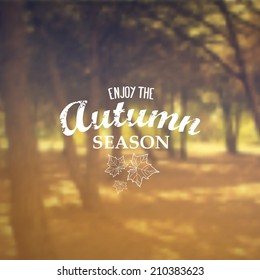 Vector Retro Autumn Banner Typography. Fall Label In Blurred Autumn Landscape Background. 