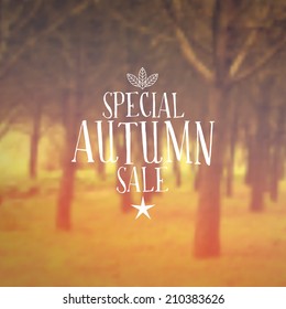 Vector Retro Autumn Sale banner typography. Fall Label in blurred autumn landscape background.