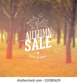 Vector Retro Autumn Sale typography. Fall Label in blurred autumn landscape background. 