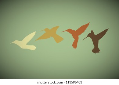 Vector Retro Birds Illustration
