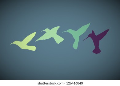Vector Retro Birds Illustration