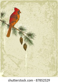 vector retro Christmas background with Cardinal bird