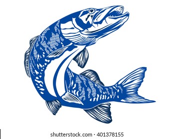 Vector retro illustration of big pike fish. Vector illustration can be used for creating logo and emblem for fishing clubs, prints, web and other crafts.