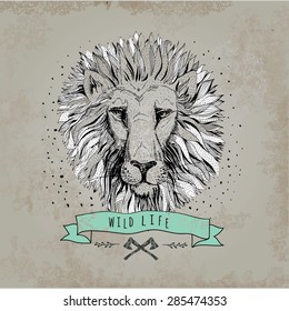 Vector retro lion head design illustration, vintage  logo. Vintage label
