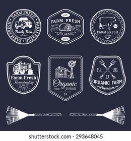 Vector retro set of farm fresh logotypes. Organic premium quality products badges collection. Eco food signs. Vintage hand sketched agricultural equipment labels.