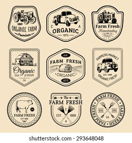 Vector retro set of farm fresh logotypes. Organic premium quality products badges collection. Eco food signs. Vintage hand sketched agricultural equipment labels.