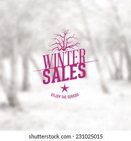 Vector Retro Winter banner typography. Winter sales Label with christmas decoration in blurred landscape background. 
