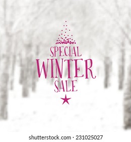 Vector Retro Winter Banner Typography. Winter Sale Label With Christmas Decoration In Blurred Landscape Background. 