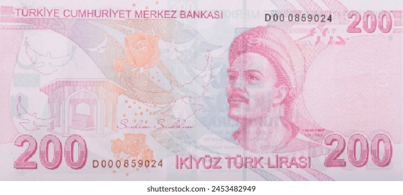 Vector reverse high polygonal pixel mosaic banknote of Turkey. Denominations of bill 200 lira. Game money of flyer. Part 2