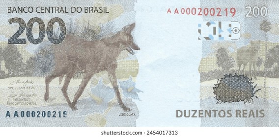 Vector reverse high polygonal pixel mosaic banknote of Brazil. Denominations of bill 200 reals. Game indian money of flyer. part 2