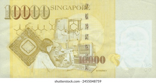 Vector reverse high polygonal pixel mosaic banknote of Singapore. Denominations of bill 10000 dollars 1999. Game money of flyer. Part 2