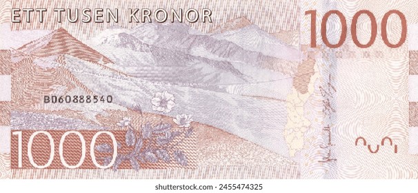 Vektorgrafik Umgekehrte hohe polygonale Pixel Mosaik-Banknote von Schweden. Stückelungen von 1000 Kronen. Spiel Geld von Flyer. Teil 2