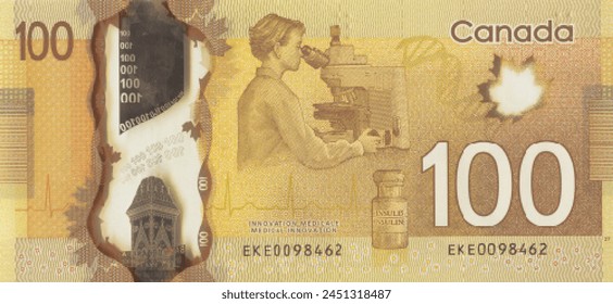 Vector reverse very high poly pixel mosaic banknote of Canada. Denominations of bill 100 dollars 2011. Game money of flyer. Part 2