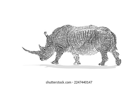 Vector rhino silhouette side view for logo, vintage design Isolated on white background.Vector illustration of a silhouette of a standing rhinoceros detail side view rhinoceros