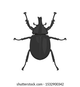 Vector, Rhinoceros beetle, Hercules beetle, Unicorn beetle, horn beetle, male on white background