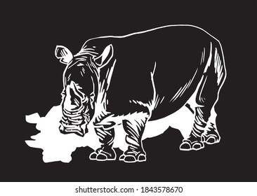 Vector rhinoceros isolated on black background, vector illustration