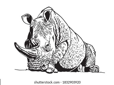 Vector  rhinoceros isolated on white, graphical illustration