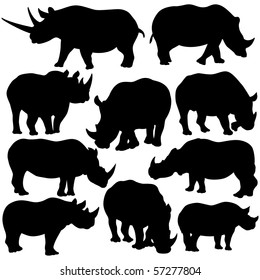 Vector Rhinoceros Silhouettes on white background.