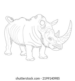 Vector Rhinoceros, Very easy to reprocess. can be used for learning education, coloring books, etc