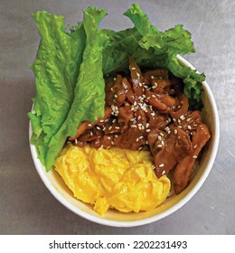 Vector Rice Bowl|Chicken and Eggs Ilustration |Chicken Teriyaki
