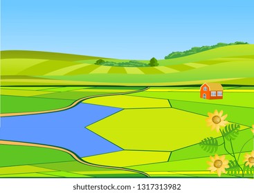 Vector rice fields and green hills background