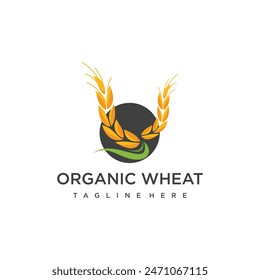 Vector rice logo farm wheat logo design vector wheat rice icon template illustration