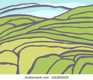 Vector rice or tea plantation on cascades field 