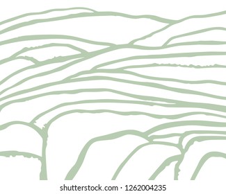 Vector rice or tea plantation on cascades field 