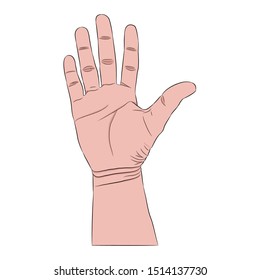 vector right hand up five finger on white background