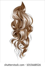 vector ringlets of hair, long and curling, brown