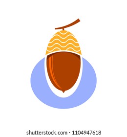 Vector Ripe Acorn Icon Isolated on White Background. Autumn Oak Nut and Seed Logo