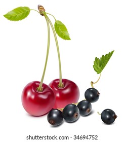 Vector. Ripe cherries with black currants.