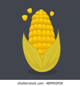 Vector Ripe corn on the cob. Cartoon illustration isolated on background.