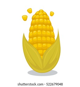 Vector Ripe corn on the cob. Cartoon illustration isolated on background.